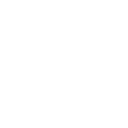 Development