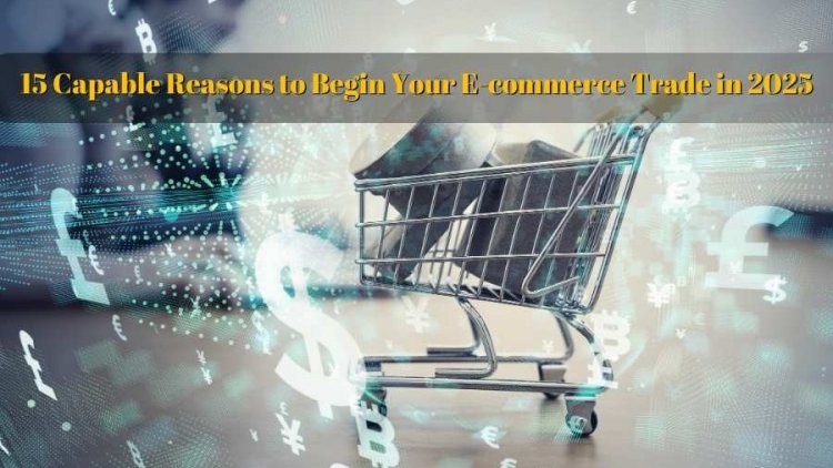 15 Capable Reasons to Begin Your E-commerce Trade in 2025